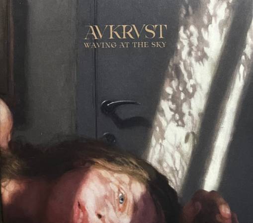 Okładka AVKRVST - Waving at the Sky