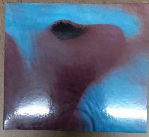 Okładka Pink Floyd - Meddle