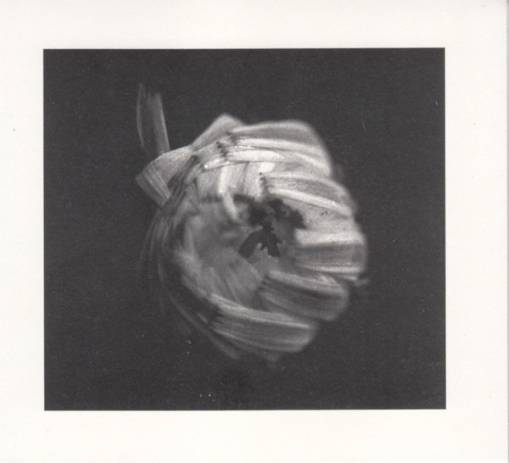 Okładka A Swarm Of The Sun - An Empire