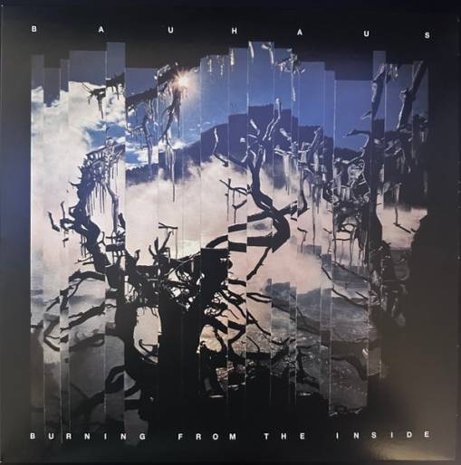Okładka BAUHAUS - Burning From The Inside