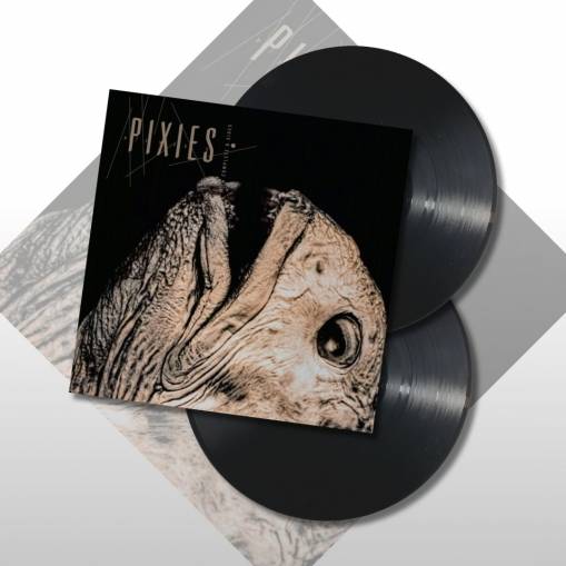 Okładka THE PIXIES - Complete B Sides 1988-97