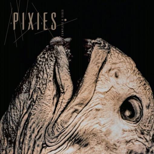 Okładka THE PIXIES - Complete B Sides 1988-97