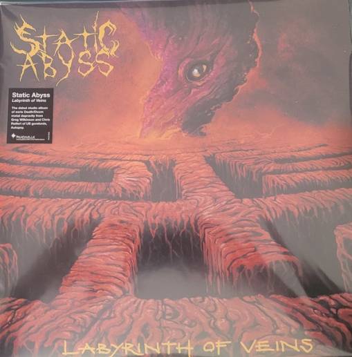 Okładka Static Abyss - Labyrinth Of Veins LP