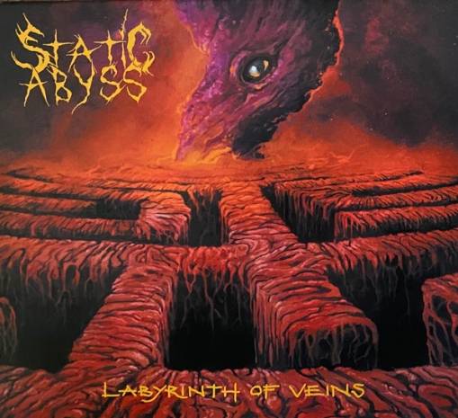 Okładka Static Abyss - Labyrinth Of Veins