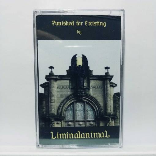 Okładka Liminalanimal - Punished for Existing (MC) [NM]