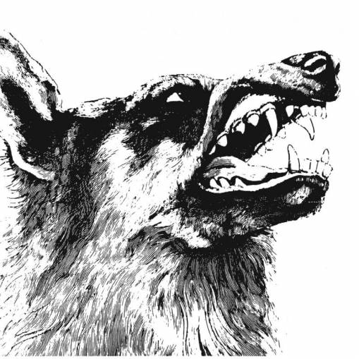 Okładka Crippled Black Phoenix - I Vigilante LP BLACK