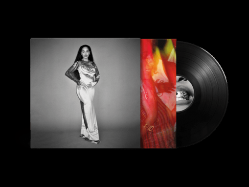 Okładka Smith, Jorja - Falling Or Flying LP