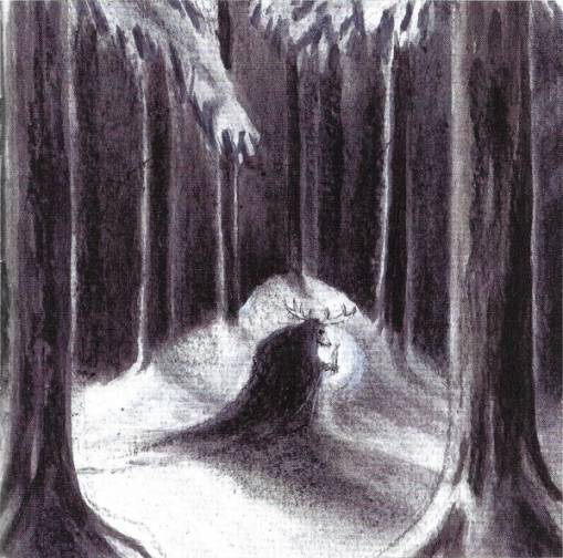 Okładka Havukruunu - Havulinnaan