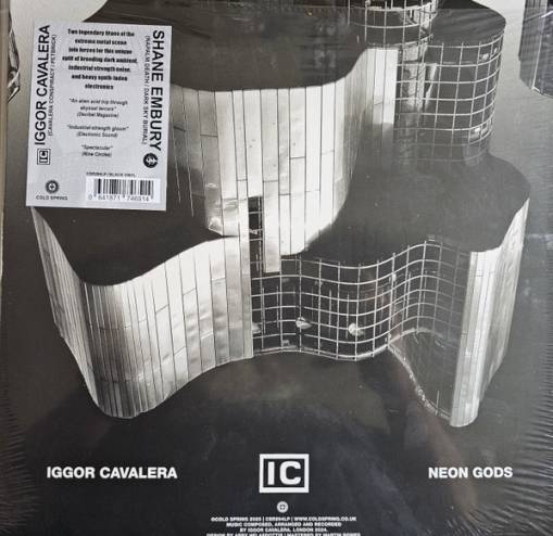 Okładka Iggor Cavalera Shane Embury - Neon Gods Own Your Darkness LP