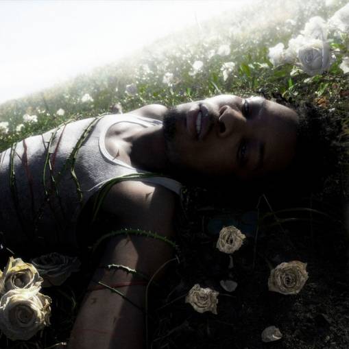 Okładka D4VD - WITHERED