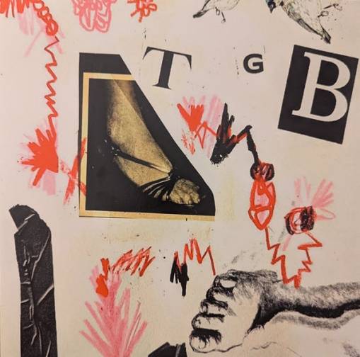 Okładka TERI GENDER BENDER - TGB