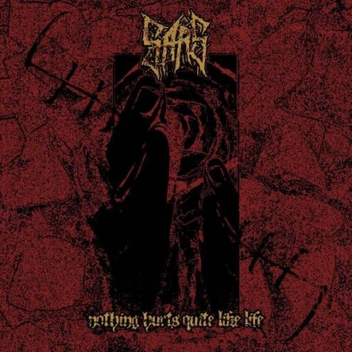 Okładka Sars - Nothing Hurts Quite Like Life