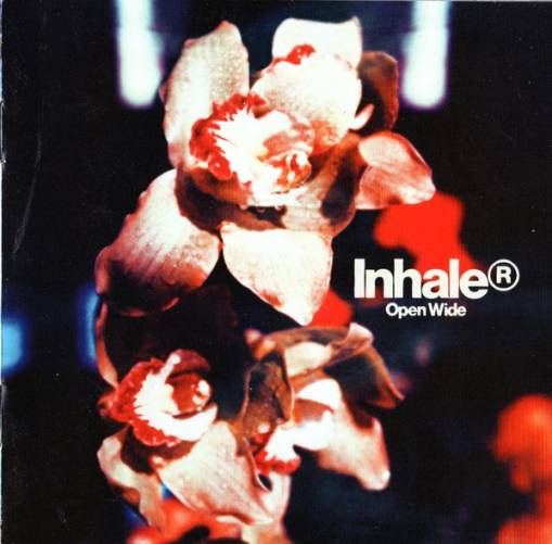 Okładka INHALER - OPEN WIDE