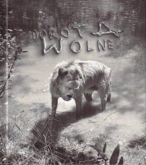 Okładka DOROTA - Wolne