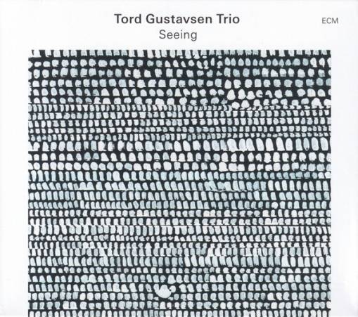 Okładka GUSTAVSEN, TORD - SEEING