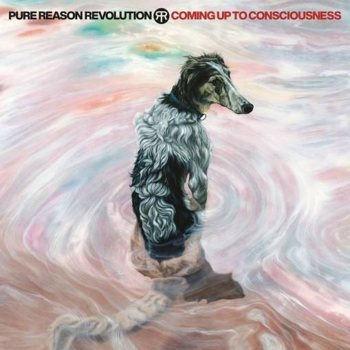 Okładka Pure Reason Revolution - Coming Up To Consciousness