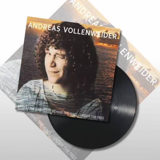 Okładka Andreas Vollenweider - Behind The Gardens LP