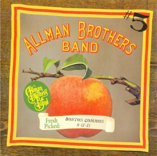 Okładka Allman Brothers Band, The - Boston Commons 8-17-71