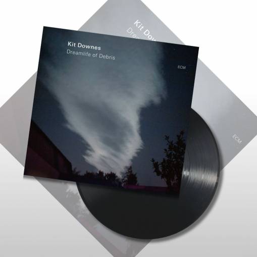 Okładka KIT DOWNES - DREAMLIFE OF DEBRIS (LP)