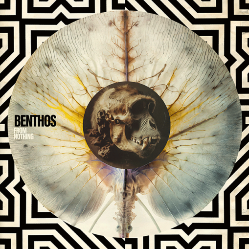Okładka Benthos - From Nothing