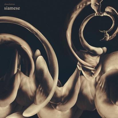 Okładka Siamese - Dissolution