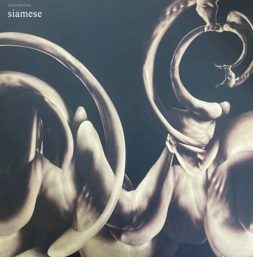 Okładka Siamese - Dissolution LP