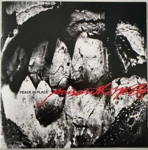 Okładka Poison The Well - Peace In Place