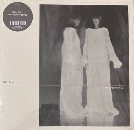 Okładka Beth Orton - The Ground Above LP MARBLED INDIE