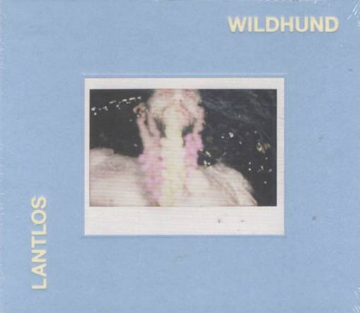 Okładka Lantlos - Wildhund