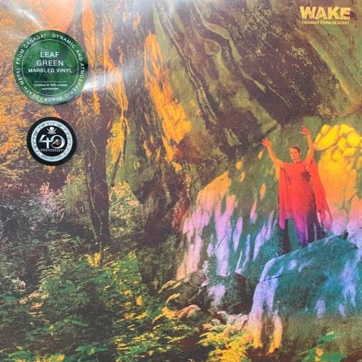 Okładka Wake - Thought From Descent LP MARBLED