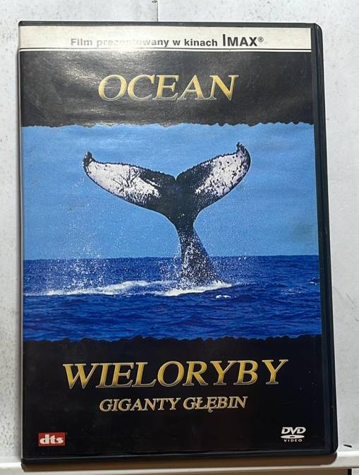 Okładka Various - OCEAN - Wieloryby Giganty Głębin [EX]