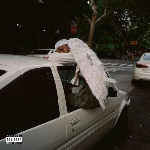 Okładka BLOOD ORANGE - Negro Swan