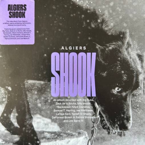 Okładka ALGIERS - Shook