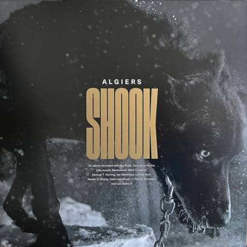 Okładka ALGIERS - Shook (Limited Edition)