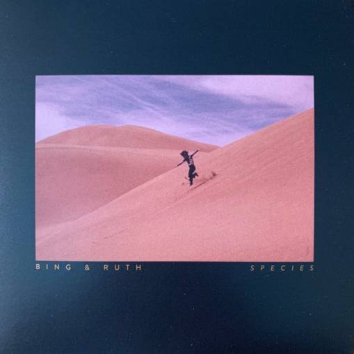 Okładka BING & RUTH - Species
