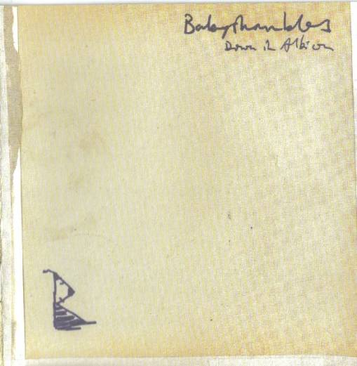 Okładka BABYSHAMBLES - Down In Albion BABYSHAMBLES