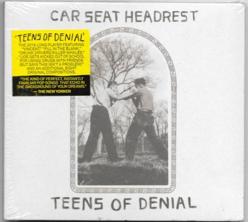 Okładka CAR SEAT HEADREST - Teens Of Denial