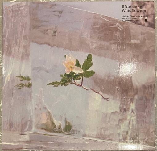 Okładka EFTERKLANG - Windflowers Limited Edition