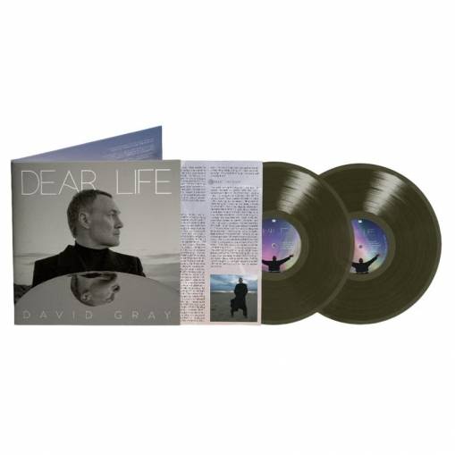 Okładka Gray, David - Dear Life LP GREEN
