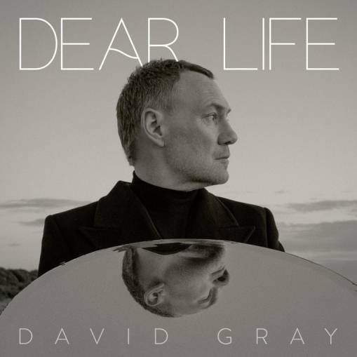 Okładka Gray, David - Dear Life