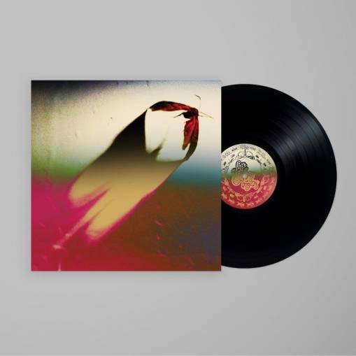 Okładka Scowl - Are We All Angels LP