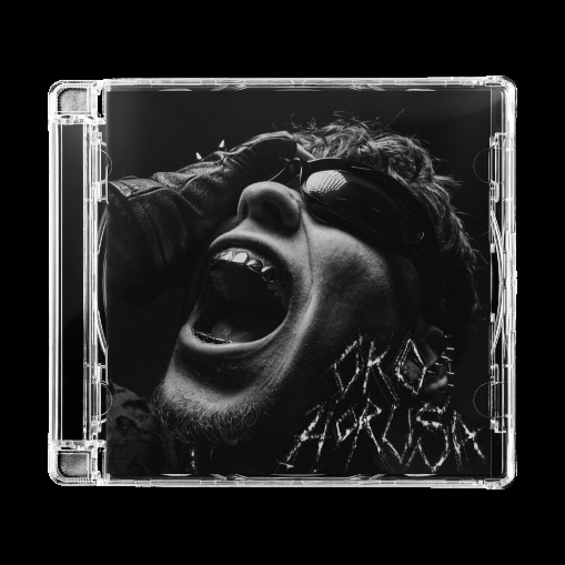 Okładka ASSTER - OKO HORUSA