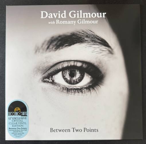 Okładka David Gilmour with Romany Gilmour - Between Two Points