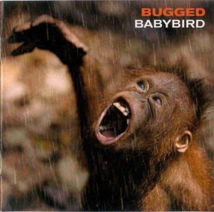 Okładka Babybird - Bugged [EX]