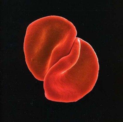 Okładka Peter Gabriel - Scratch My Back [EX]