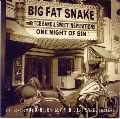 Okładka Big Fat Snake - One Night Of Sin [EX]
