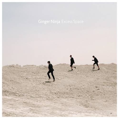 Okładka Ginger Ninja - Excess Space [EX]