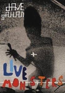 Okładka Dave Gahan - Live Monsters [DVD] [NM]