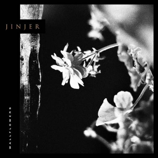 Okładka Jinjer - Wallflowers LP BLACK