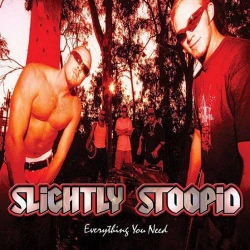 Okładka Slightly Stoopid - Everything You Need LP